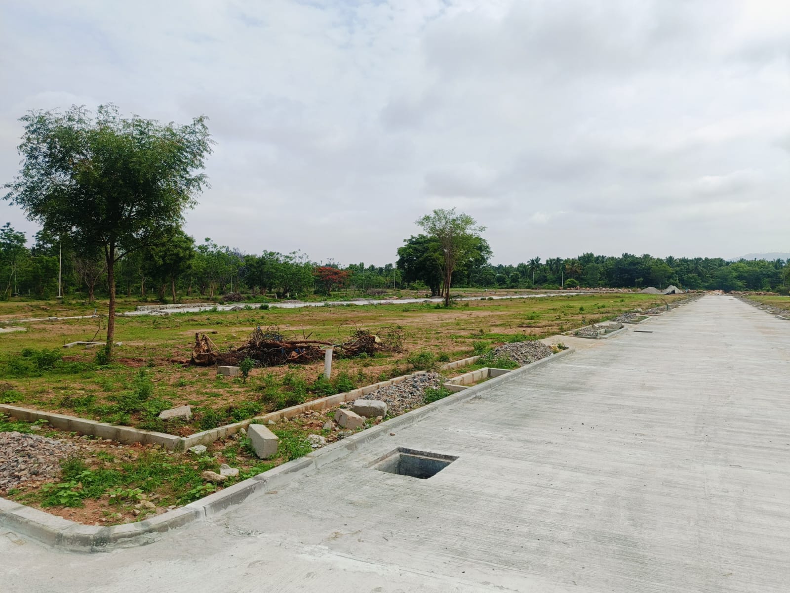 WhatsApp Image 2024-06-06 at 1.00.31 PM